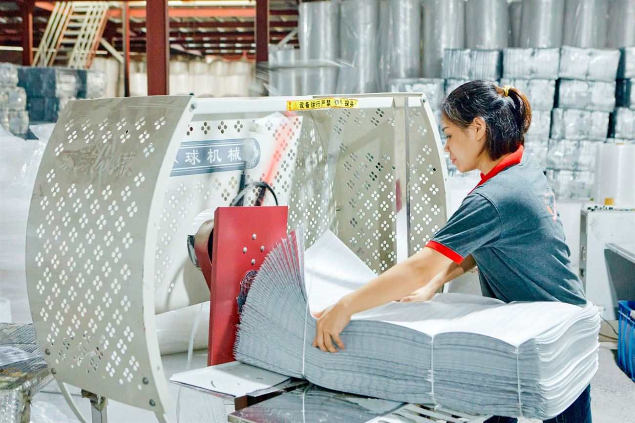 Cán Bộ Công Nhân Viên Nhà Máy Việt Nhật IPT 9